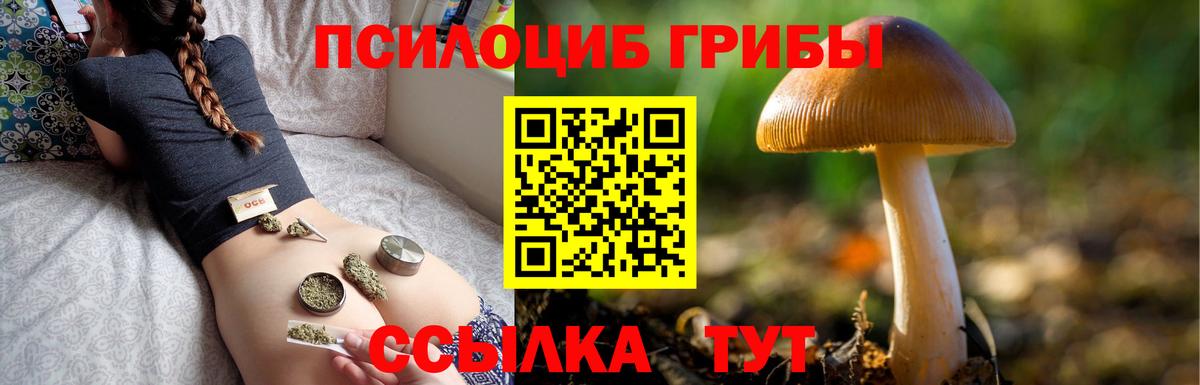 наркотики  Псилоцибиновые грибы Magic Shrooms  Вход с VPN  Дзержинский 